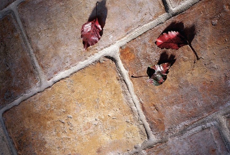 oude terracotta parfeuilles