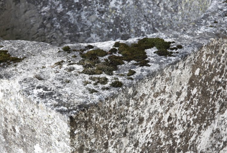 antieke put van franse kalksteen
